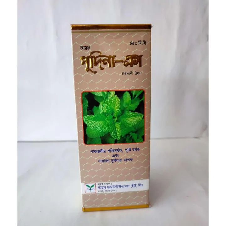 Syrup Pudina S (450ml)